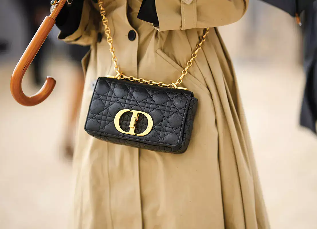 The 10 Best Designer Bags Our Clients Own in Every Category(图5)